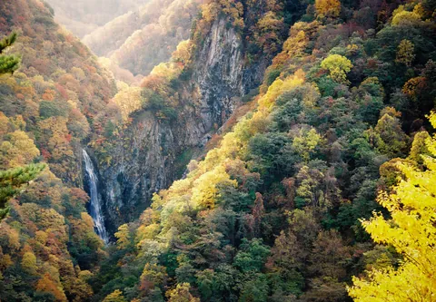 Fall in Shiga-kogen, Nagano, Japan (OC)(4358 x 3023)