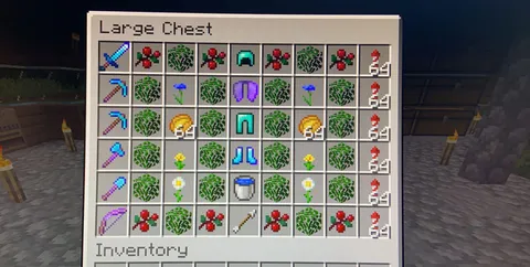 My friend and I have a world together and he just lost all his stuff and he didn’t want to play. So I grinned hours and got some stuff for him. Hope he likes it.