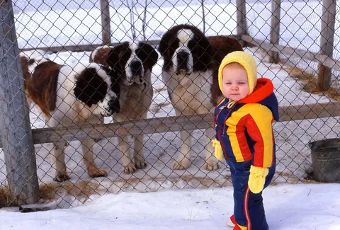 Mama Don't Take My Kodachrome Away, Kodachrome Images 1944-1977