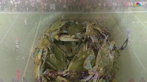 [Highlight] LaMar Jackson drops the ball and Bengals recover!