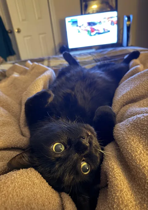 Couch Potatoing with Mommy ❤️