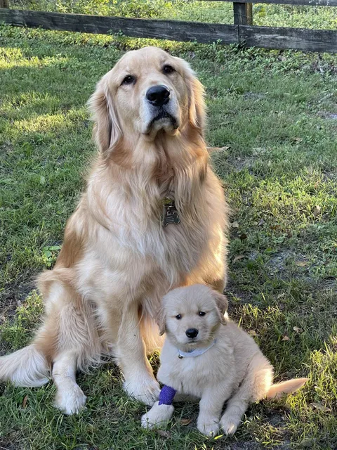 He loves his little brother so much already