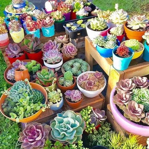 This look like a candy store..