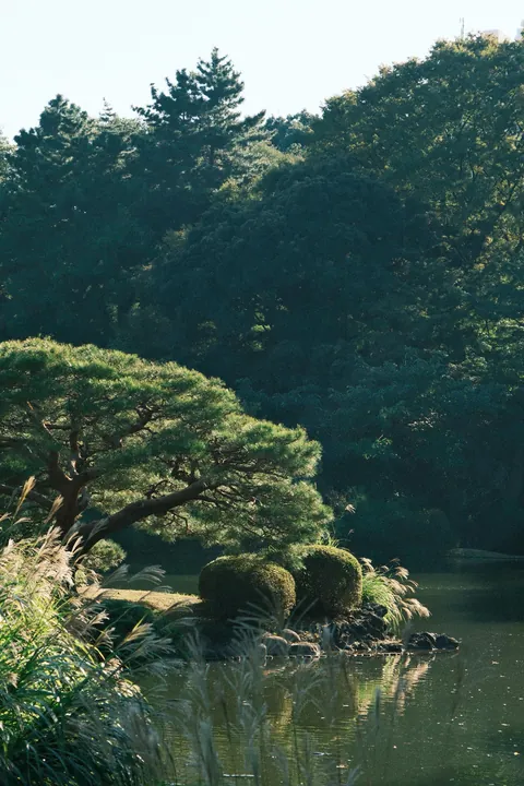 Our First 4 Days in Tokyo 🇯🇵