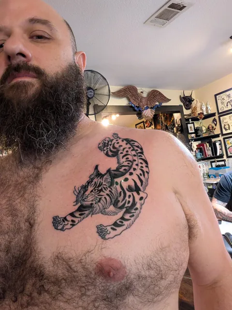 Bobcat - done by A.J. Maloney, Black Dagger Tattoo, Austin Texas