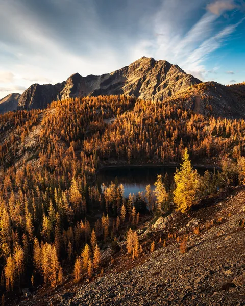 A Sea of Gold in Washington’s North Cascades [4610x5762][OC]