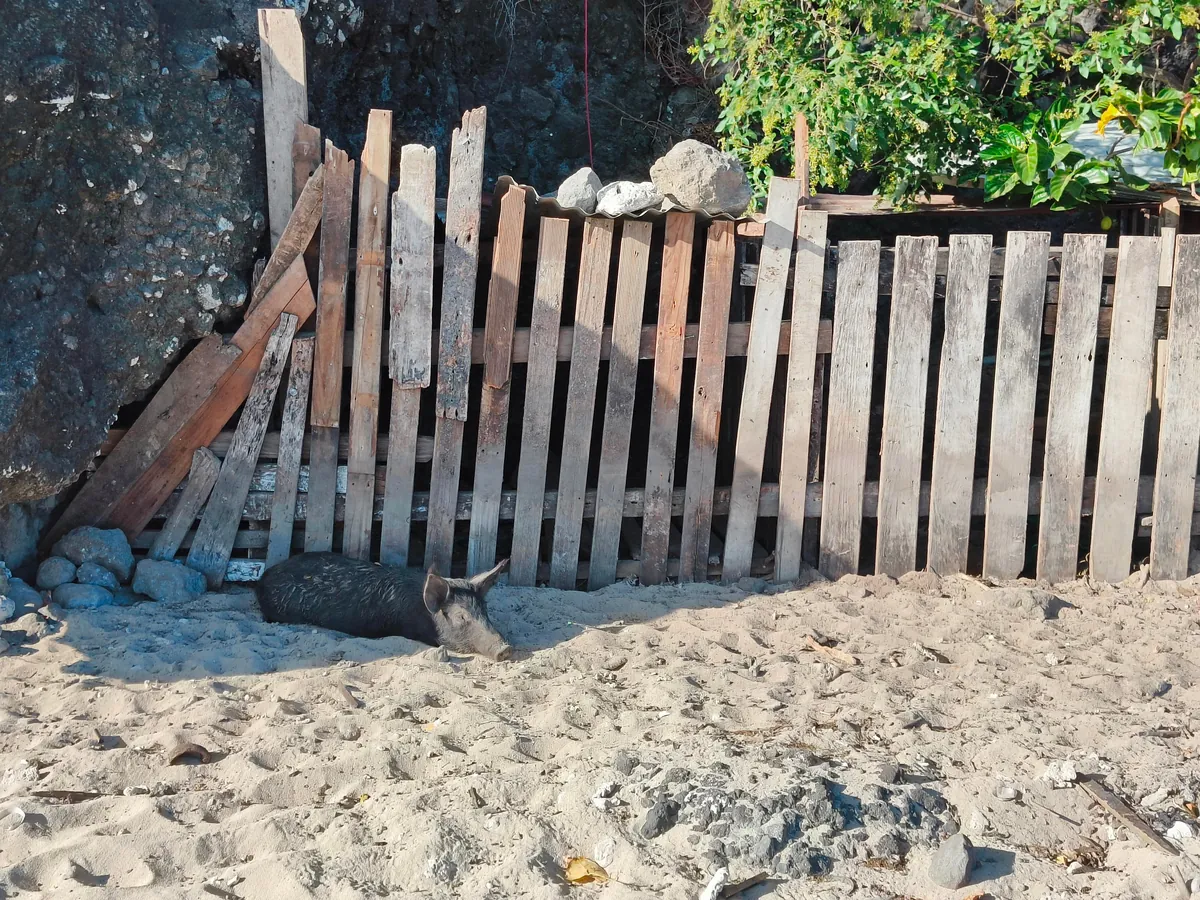 I spent a month travelling around Fiji 🇫🇯 and Australia 🇦🇺 (Sep - Oct 2025)