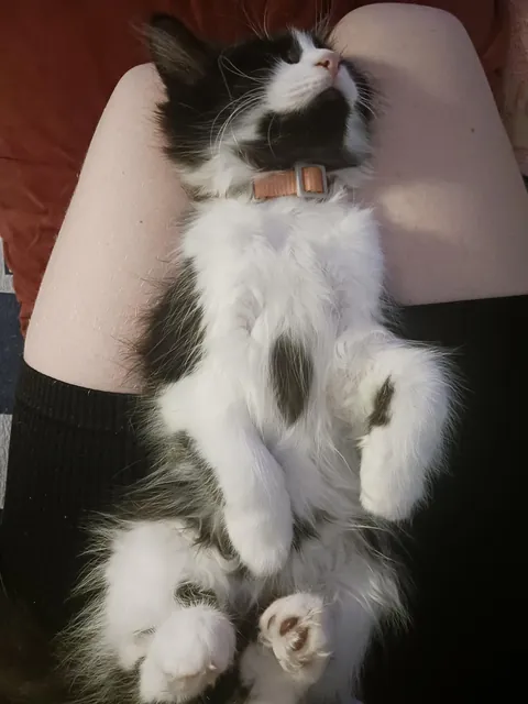 She might have a favourite sleeping position