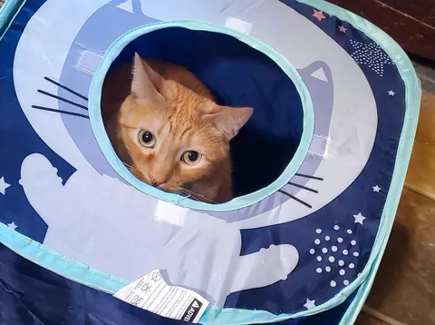 Abed is convinced I can't see him.