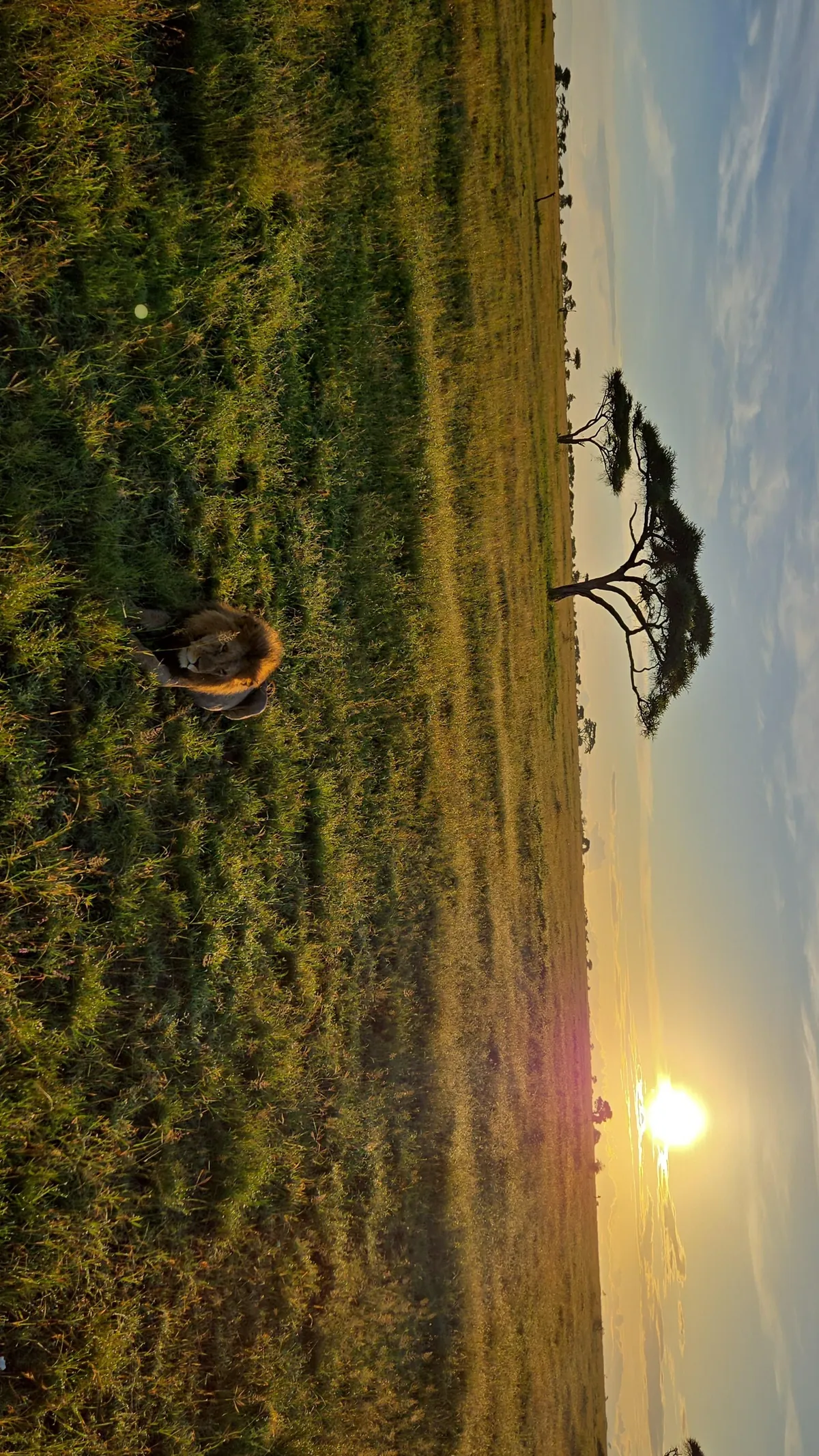 The Beauty of Tanzania