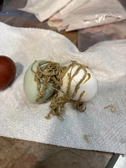 WTF happened to my eggs when I boiled them?