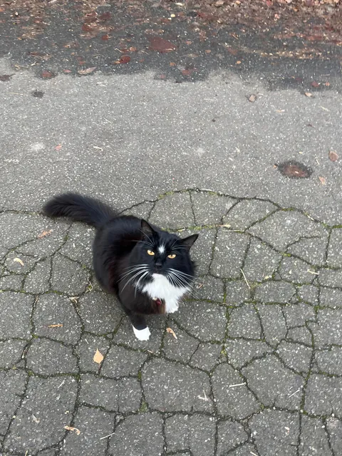 A gentleman. Is he adorable?