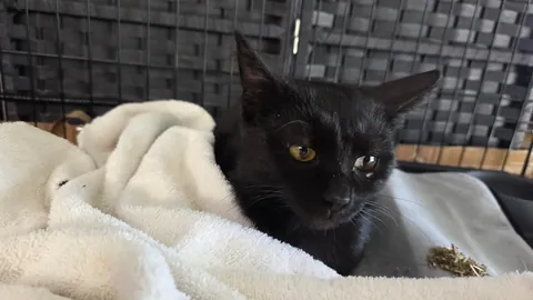 That was a quick reincarnation