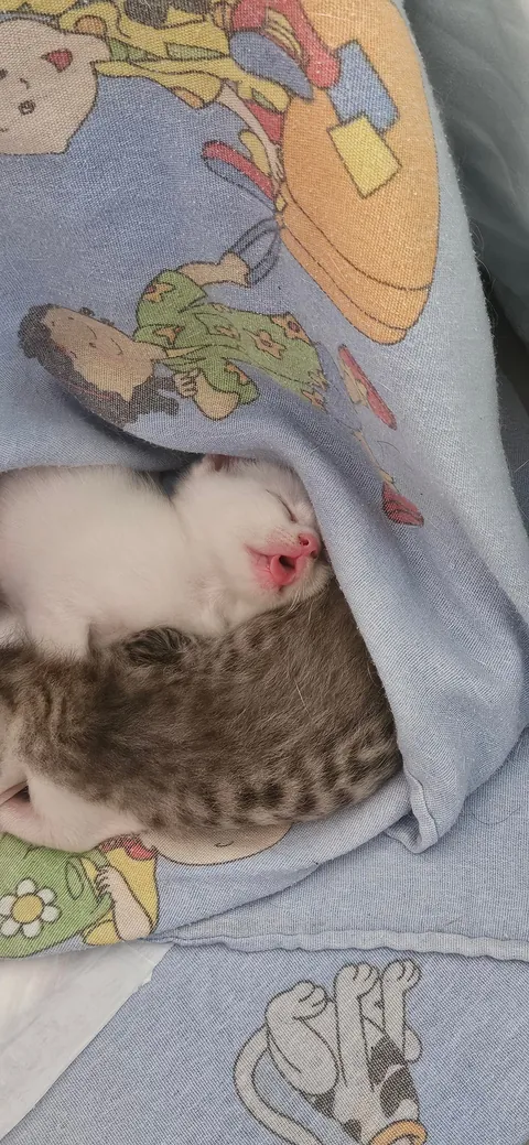 My Angel and her Angels