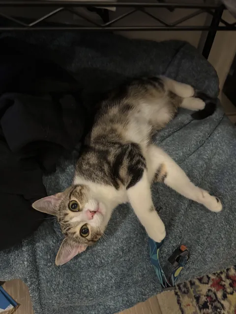 Those eyes are dangerous.