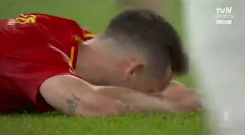 Full time scenes as Spain wins the 2024 EURO