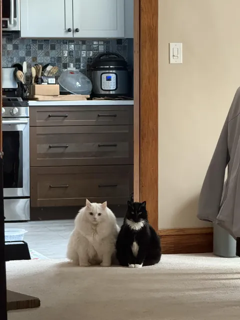 Intimidation tactics…