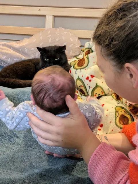 Pumpkin meeting my firstborn