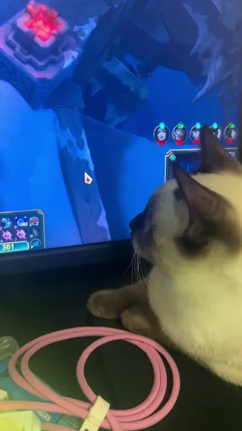 High-precision mouse tracking is turned on.