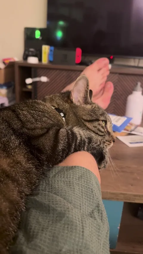 Why does my cat squeeze his paw?