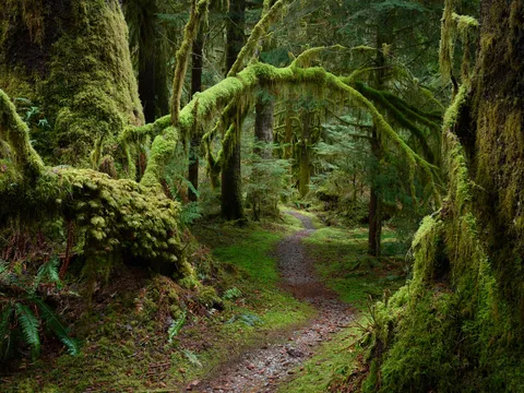 Vancouver trails, Canada (OC)(1900x1425)
