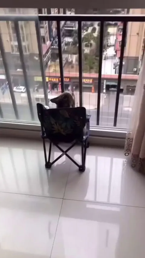 Living his best 9 Lives