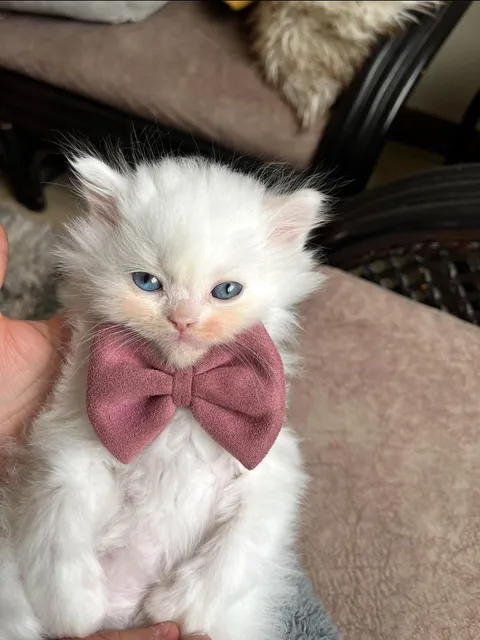 He is going to his friend’s wedding🤵🏻👰🏻‍♀️