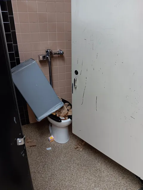 This the shit I gotta deal with just to take a piss.