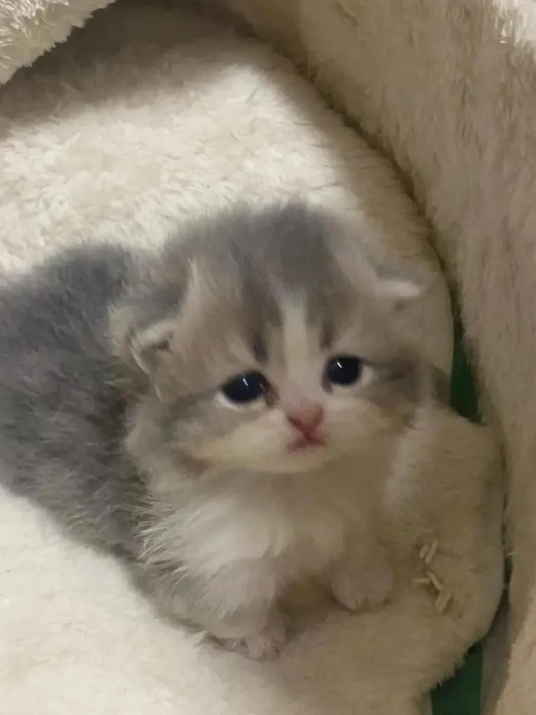 Aww !!can't take my eyes off this cutie