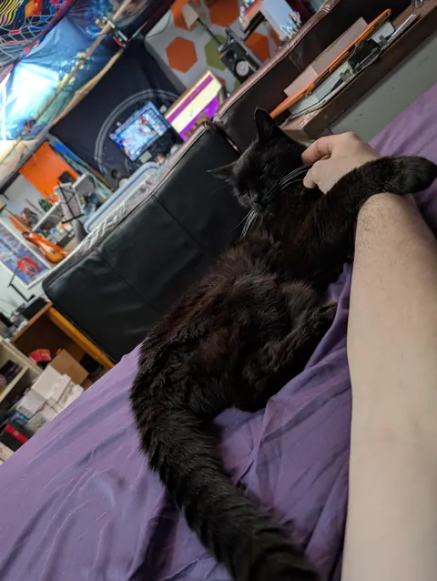 My 18 year old, needy senior.