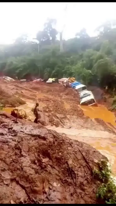 Truck convoy travels through flooded road in the Congolese jungle.