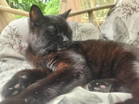 Somehow we are at 22! I love you Sammy ♥️