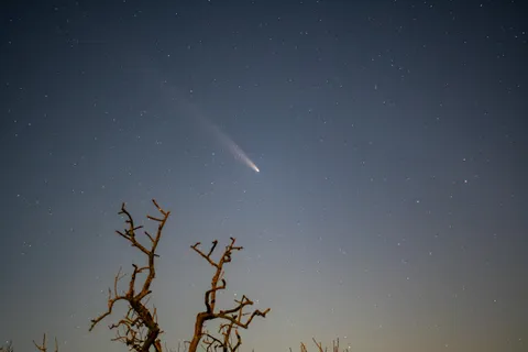 The comet with a nifty fifty. 