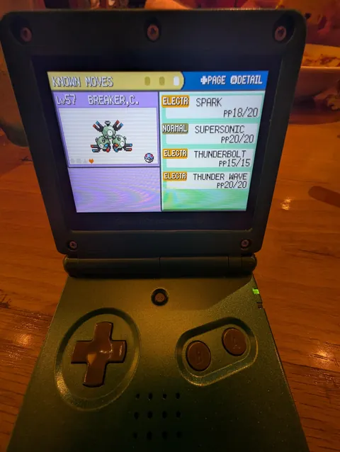 145 Hours On Pokemon Fire Red Before the Elite 4, Here's My Team!