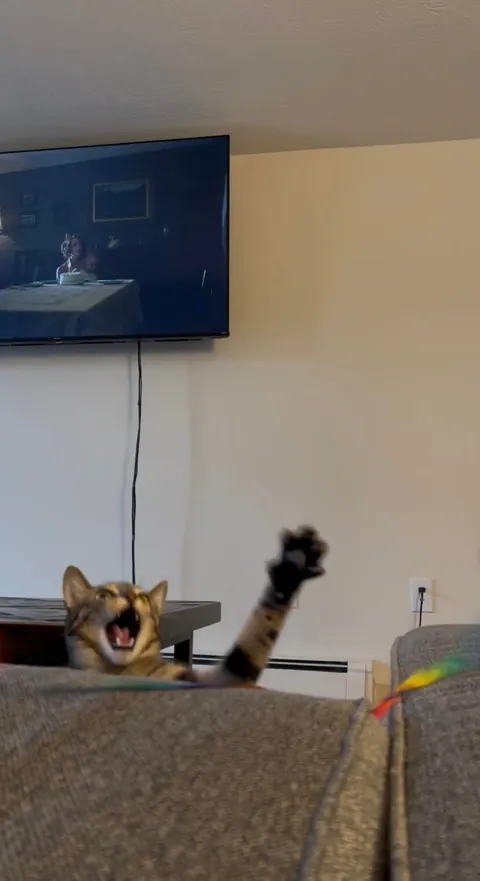 Please try to enjoy each pic equally