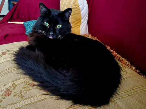 Ex- Roommate left her