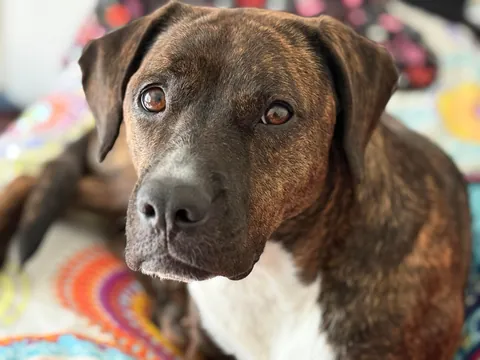 My mommy says I’m a very pretty girl