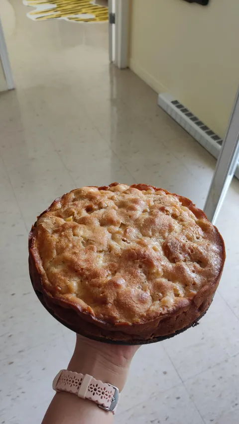 [Homemade] Apple cake 