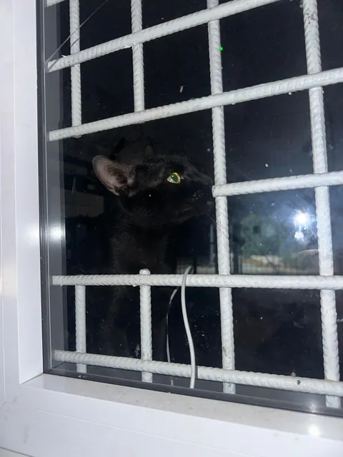 I think I really fucked up :(