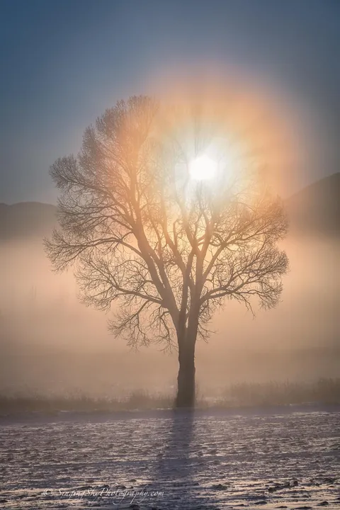 🔥Foggy Landscapes