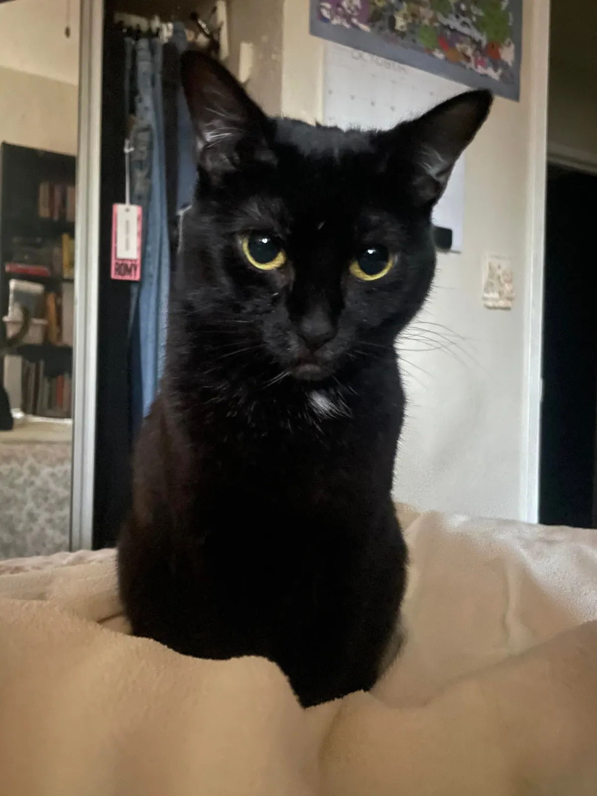 Yeppie, I love you forever.