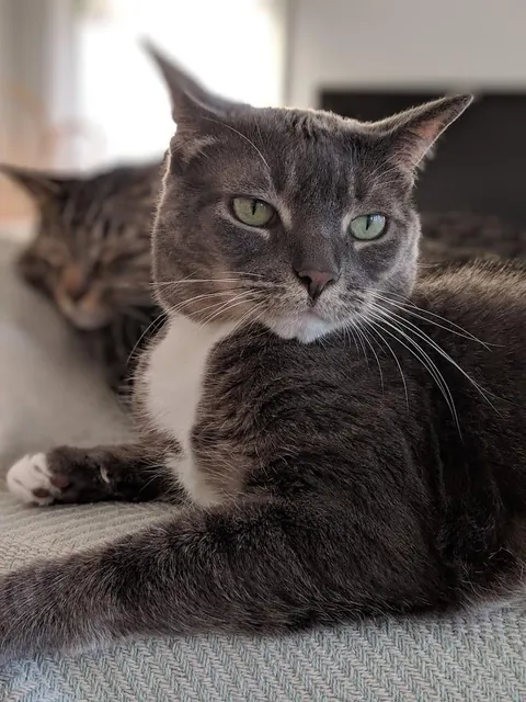 Goodnight my queen, 16 years was not enough and I am devastated.