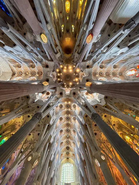 Ceiling of La Sagrada Família