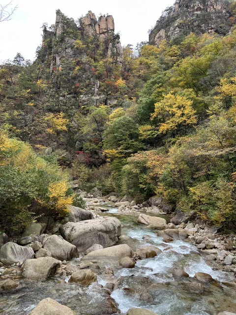 Fall in Korea [OC] [3024x4032]