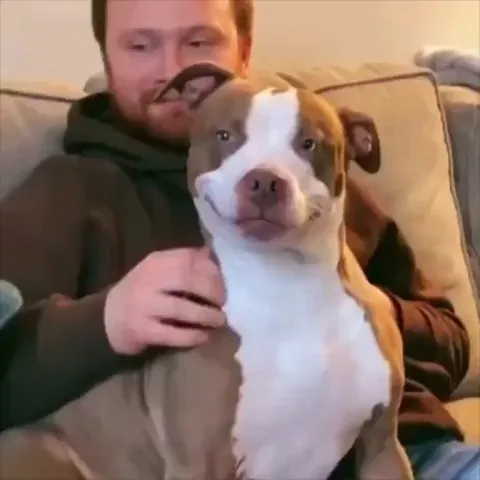 Adopted dog can’t hide her happiness.. 🥺