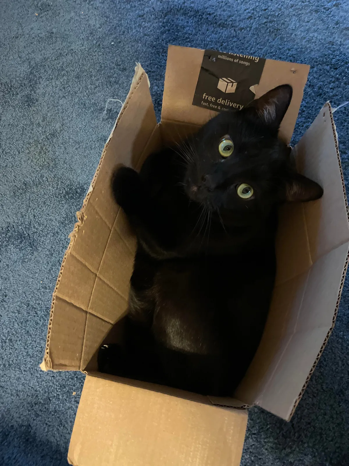 Amazon sent me the wrong thing again. Should I keep it? 😉