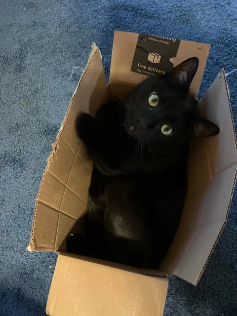 Amazon sent me the wrong thing again. Should I keep it? 😉