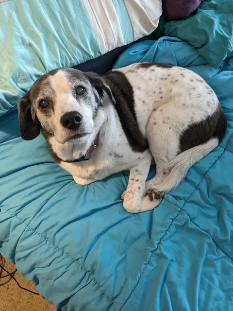 You come out of the bathroom to see that she has taken your spot. What do you do?