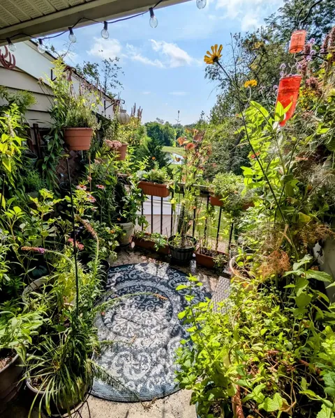 My Apartment Balcony- Year 3 (All Four Seasons 2024)