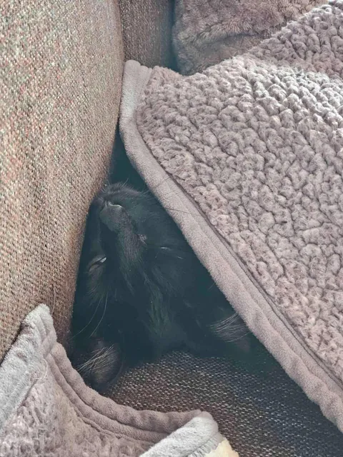 She just entered my life 🖤